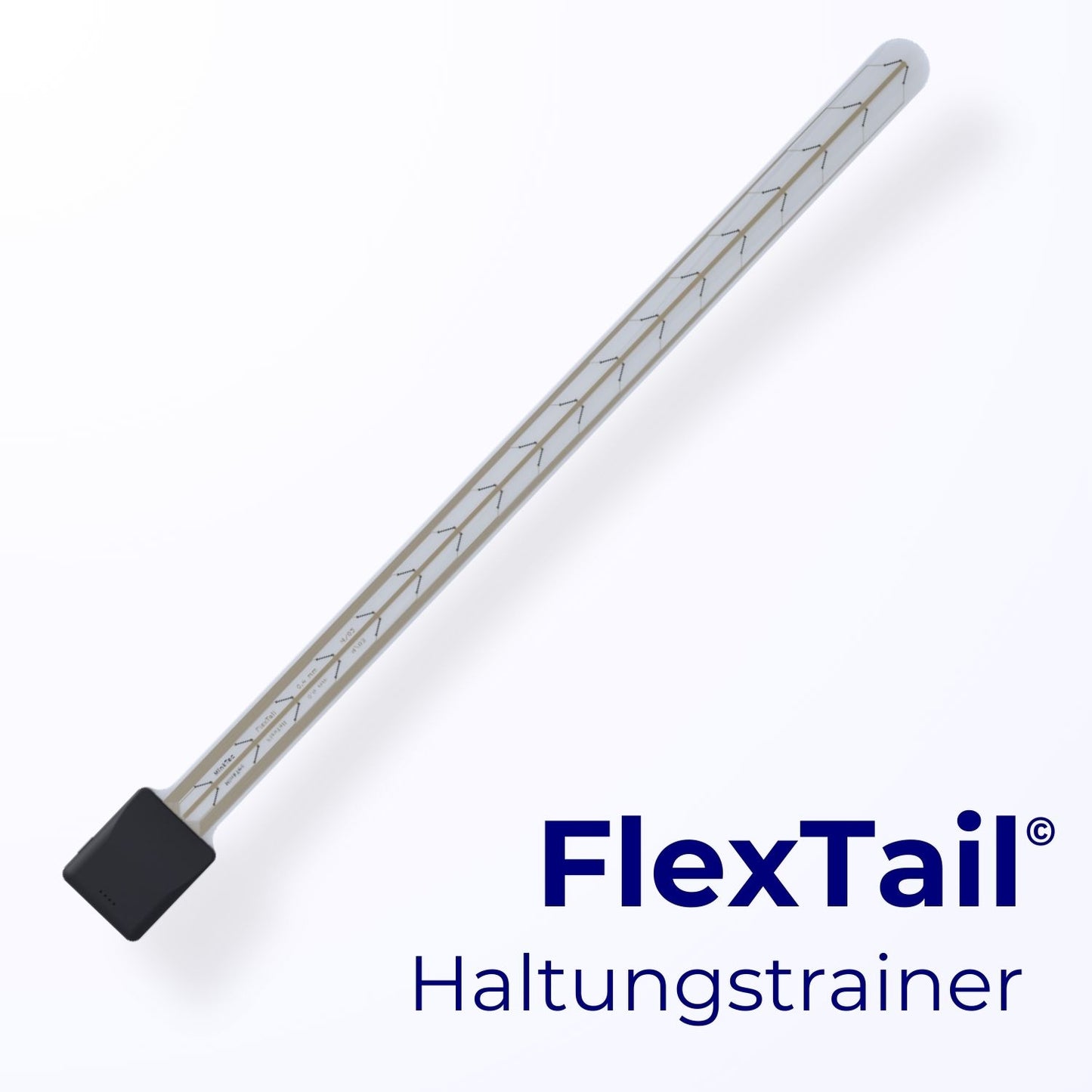 FlexTail© Rücken-Sensor (8 Wochen Leihe)